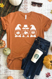 Autumn Gnomes