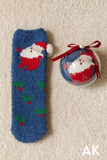 Santa Holly Socks